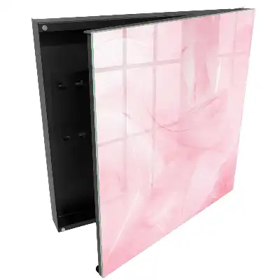 Armoire à clés motif de plume rose éthéré