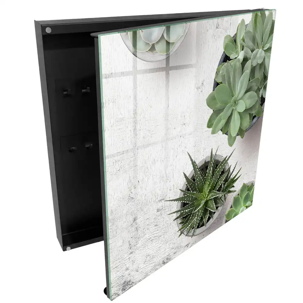 Boîte à clés murale plantes succulentes vertes sur fond clair