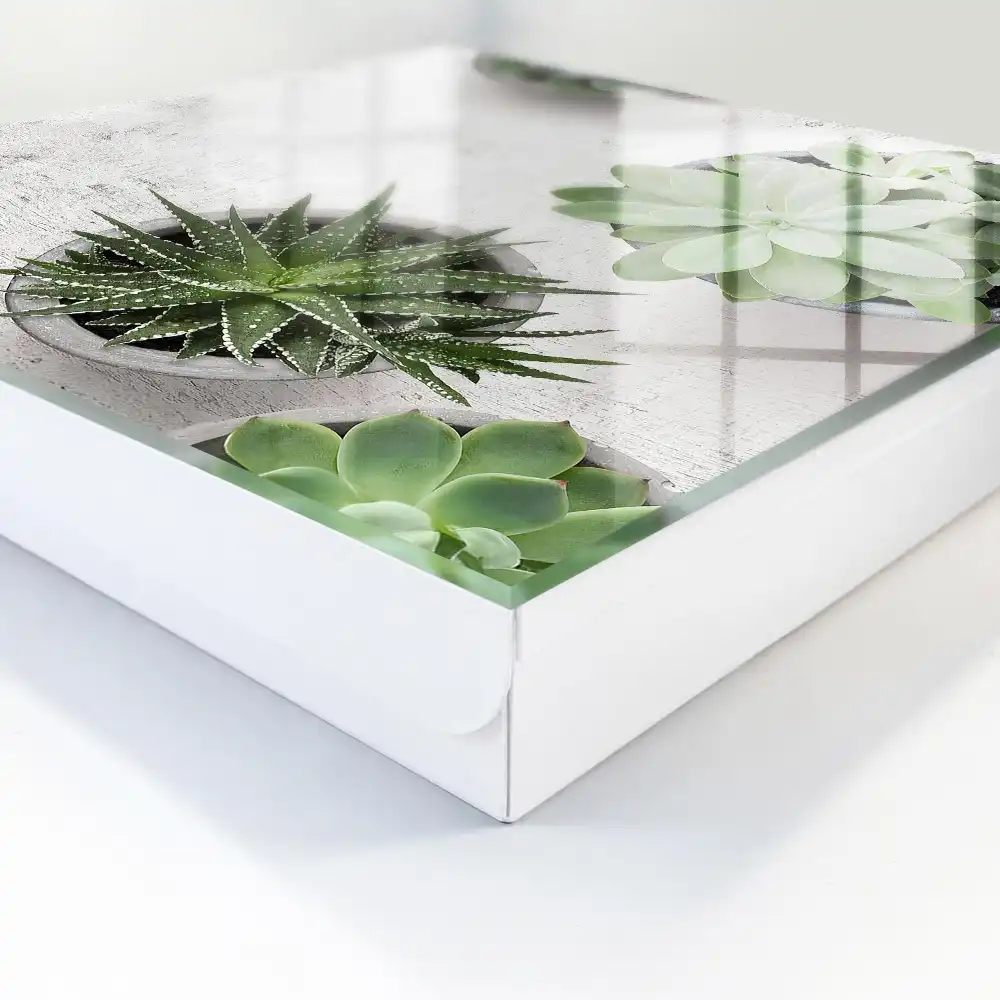 Boîte à clés murale plantes succulentes vertes sur fond clair