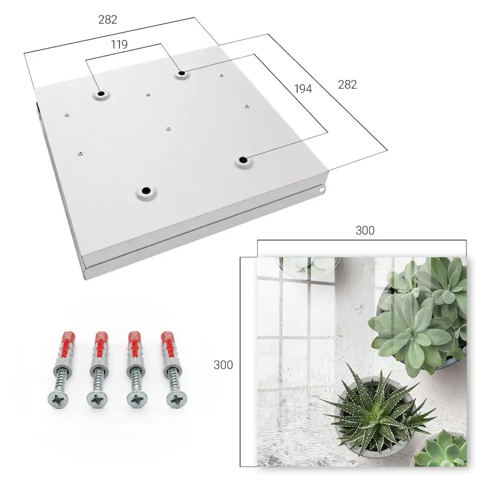 Boîte à clés murale plantes succulentes vertes sur fond clair