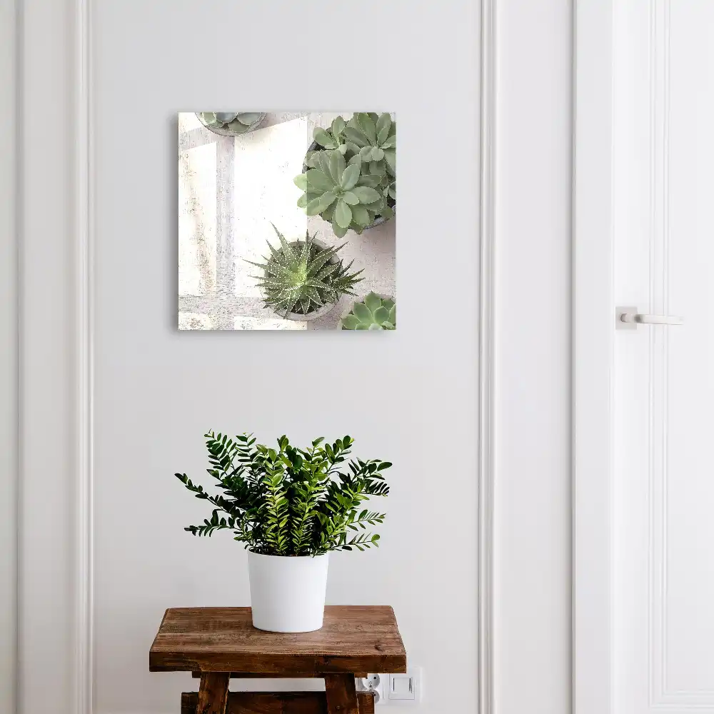 Boîte à clés murale plantes succulentes vertes sur fond clair