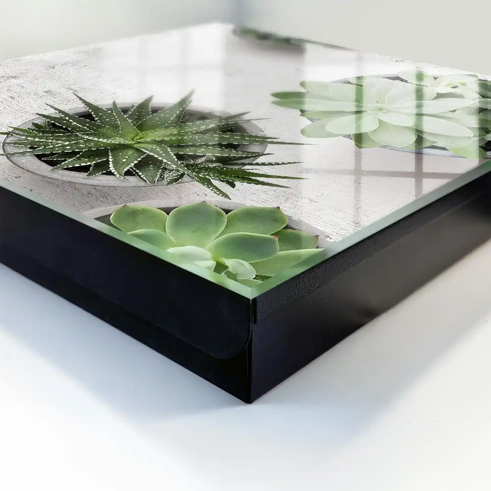 Boîte à clés murale plantes succulentes vertes sur fond clair