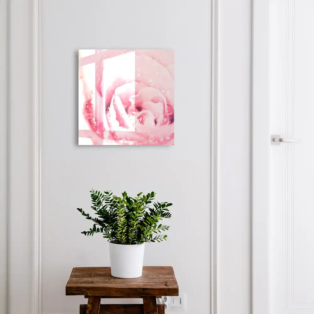 Boîte à clés murale gros plan d'une rose rose avec des gouttes de rosée
