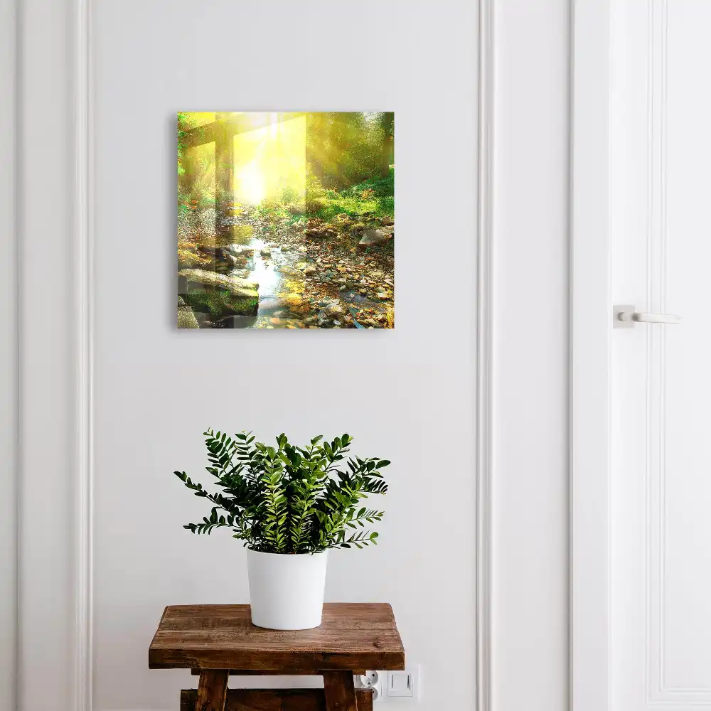 Boîte à clés la lumière du soleil dans la forêt près du ruisseau