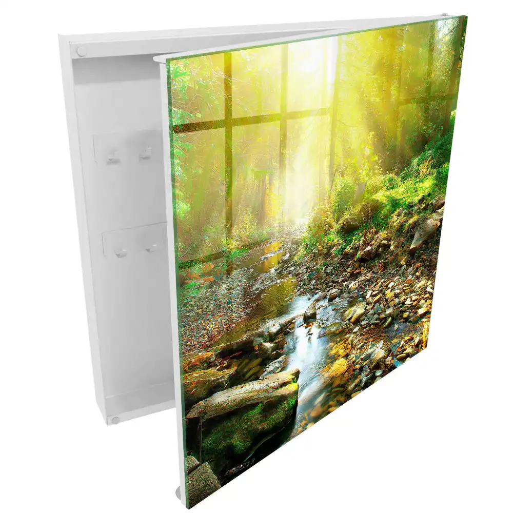 Boîte à clés la lumière du soleil dans la forêt près du ruisseau