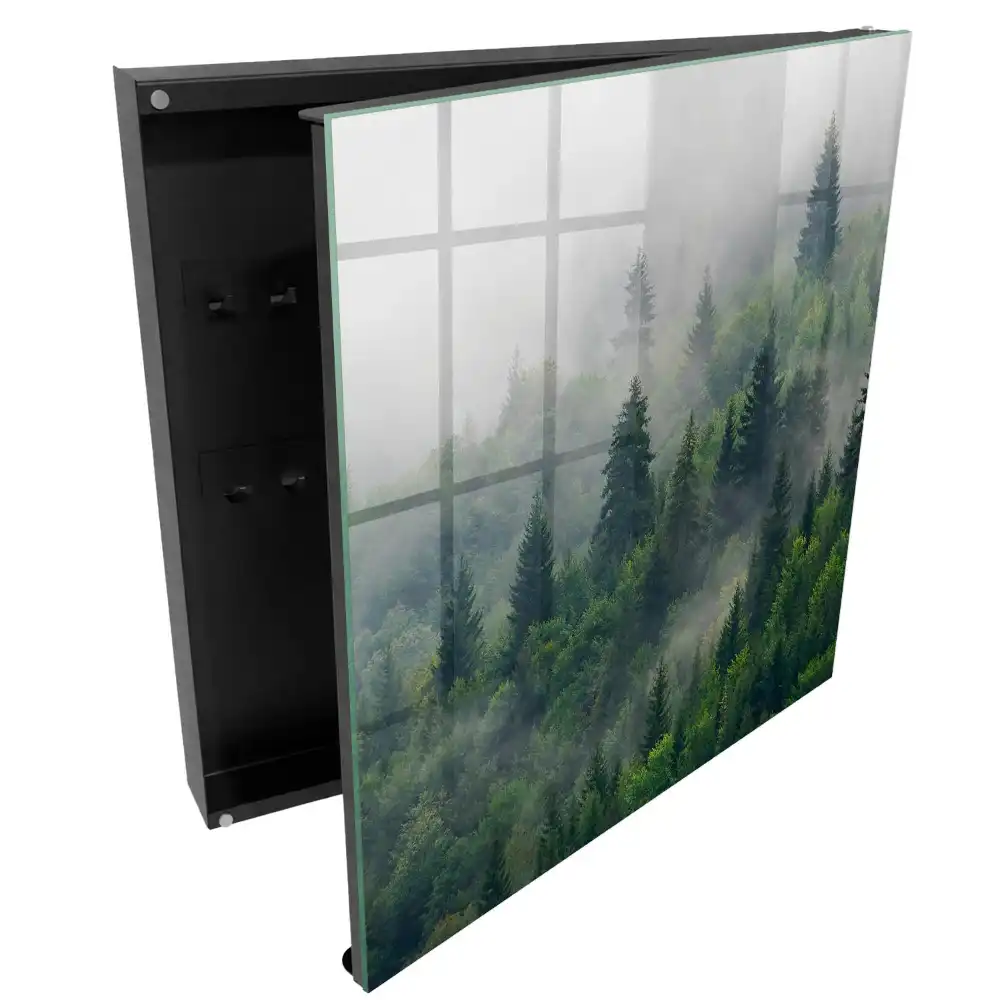 Boîte à clés la verdure de la forêt dans le brouillard et l'atmosphère mystérieuse
