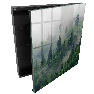 Boîte à clés la verdure de la forêt dans le brouillard et l'atmosphère mystérieuse
