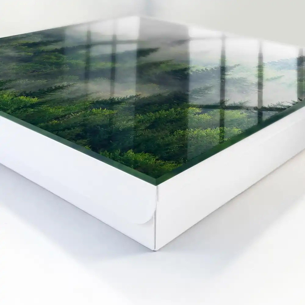 Boîte à clés la verdure de la forêt dans le brouillard et l'atmosphère mystérieuse