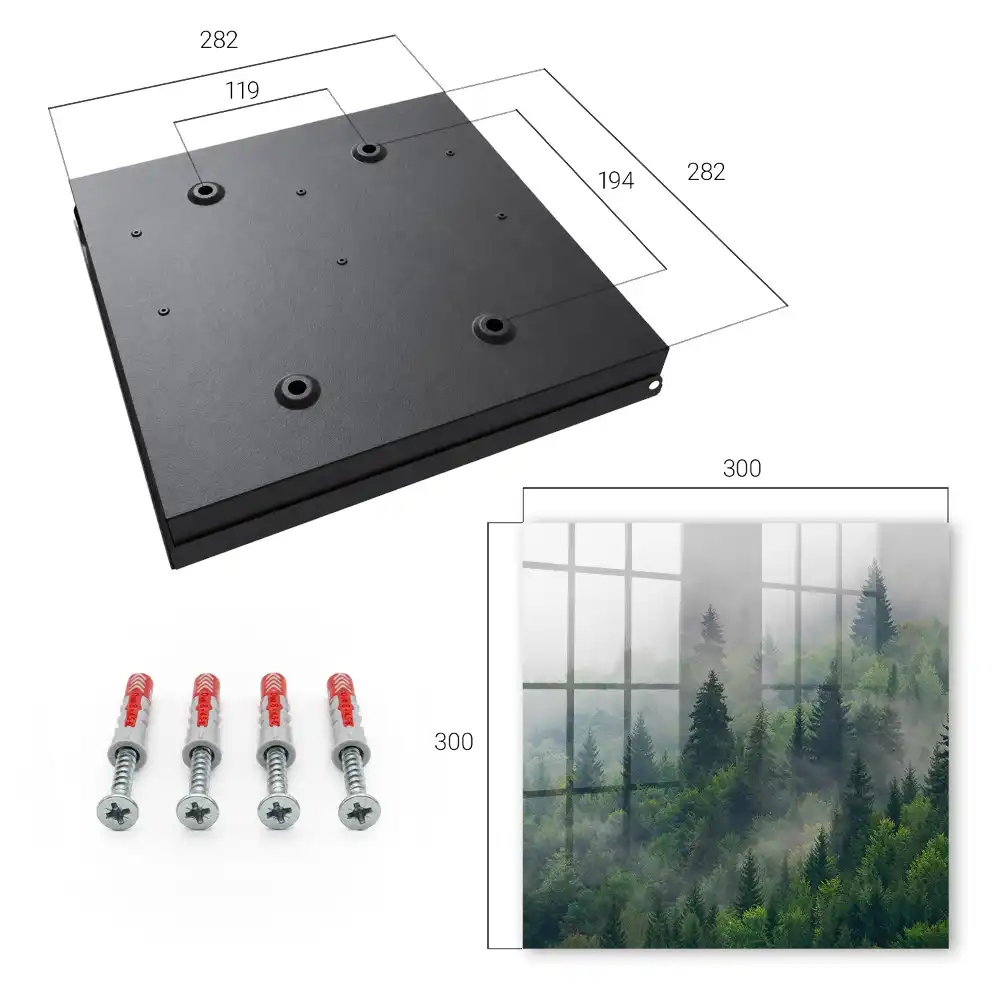 Boîte à clés la verdure de la forêt dans le brouillard et l'atmosphère mystérieuse