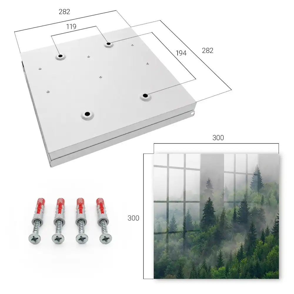 Boîte à clés la verdure de la forêt dans le brouillard et l'atmosphère mystérieuse