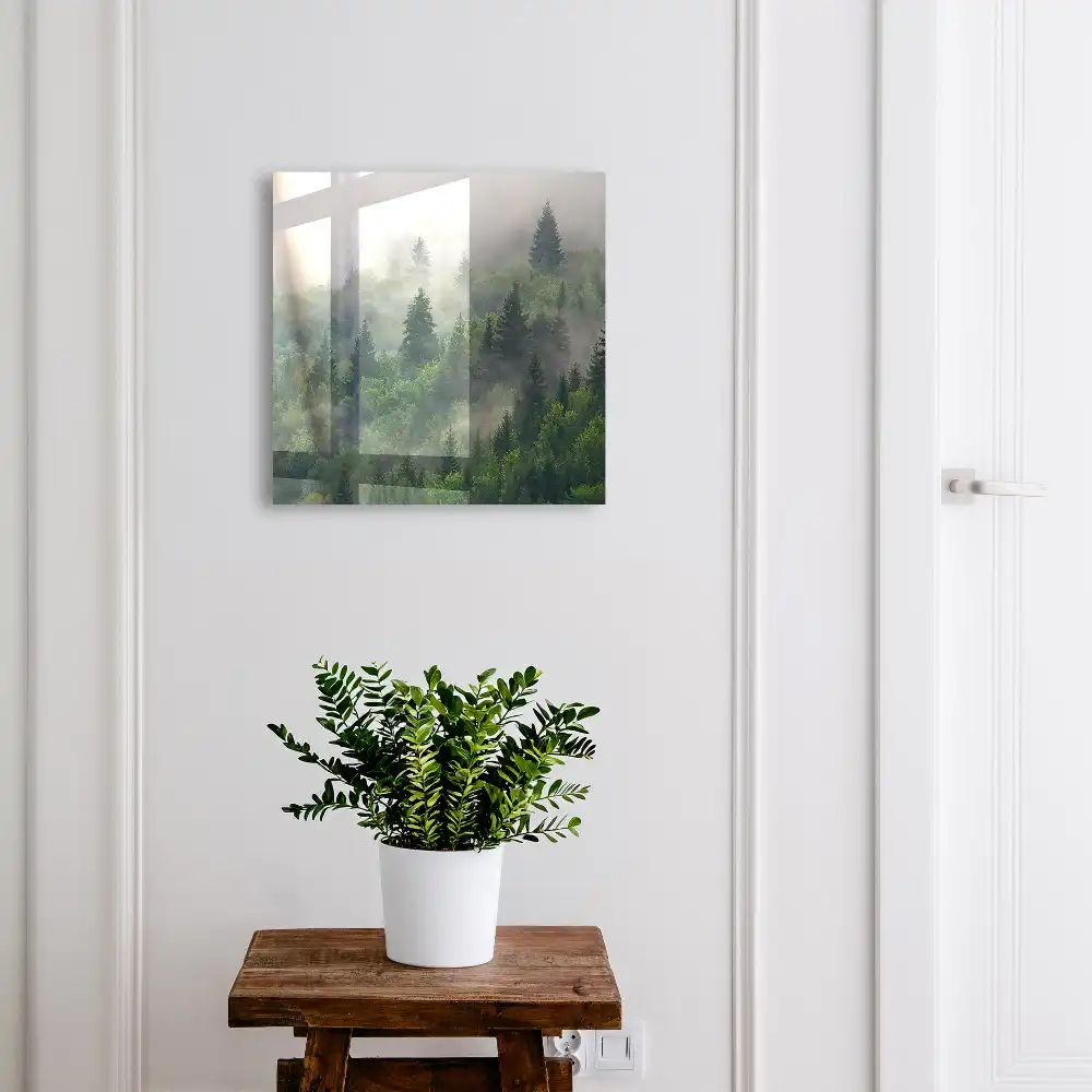 Boîte à clés la verdure de la forêt dans le brouillard et l'atmosphère mystérieuse