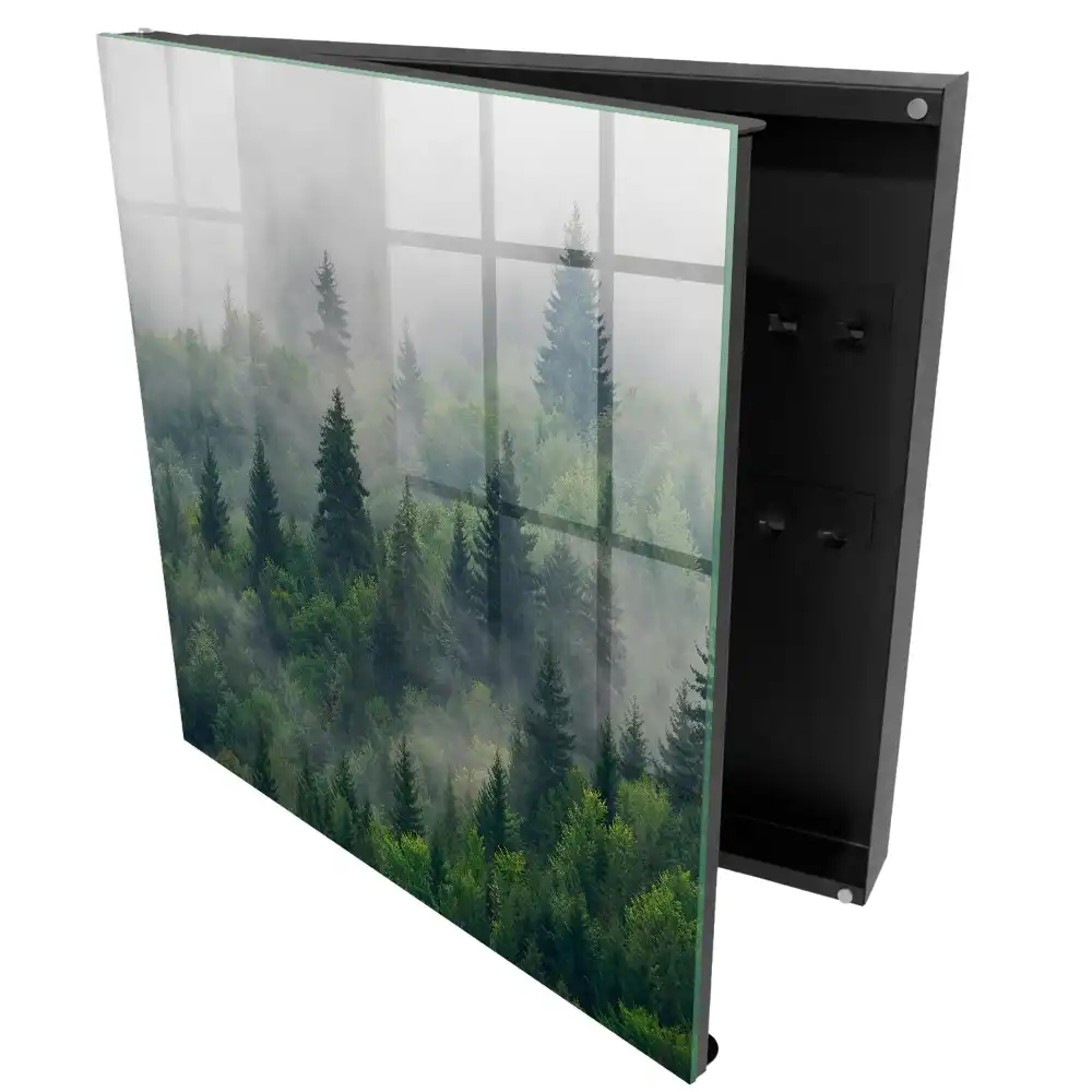 Boîte à clés la verdure de la forêt dans le brouillard et l'atmosphère mystérieuse