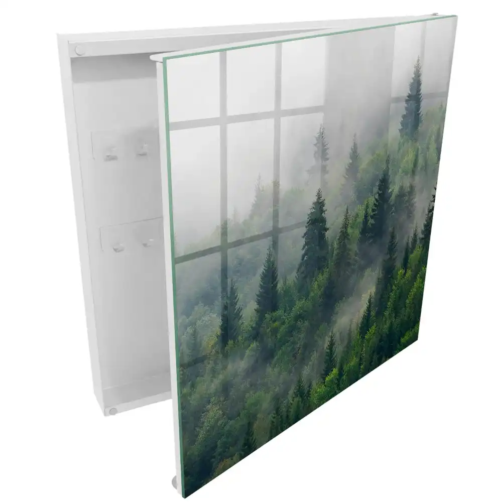 Boîte à clés la verdure de la forêt dans le brouillard et l'atmosphère mystérieuse