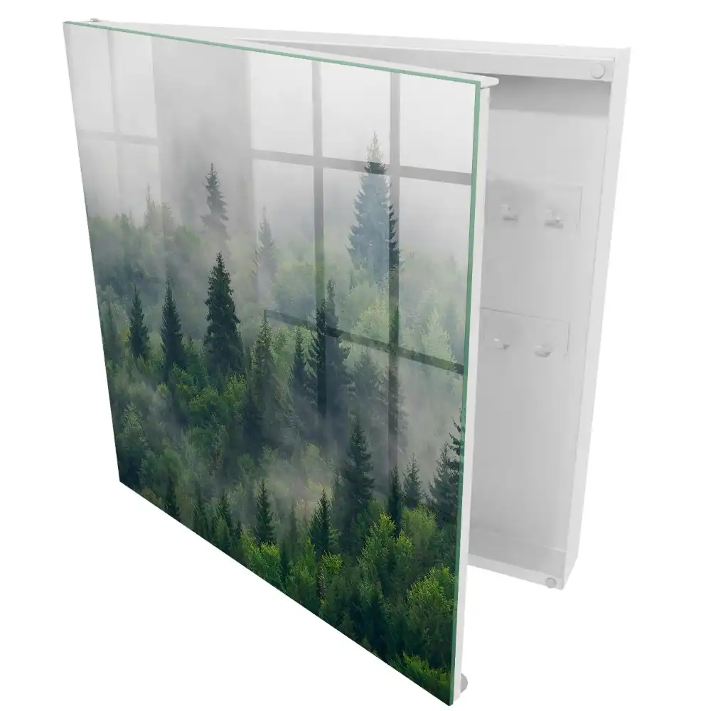 Boîte à clés la verdure de la forêt dans le brouillard et l'atmosphère mystérieuse