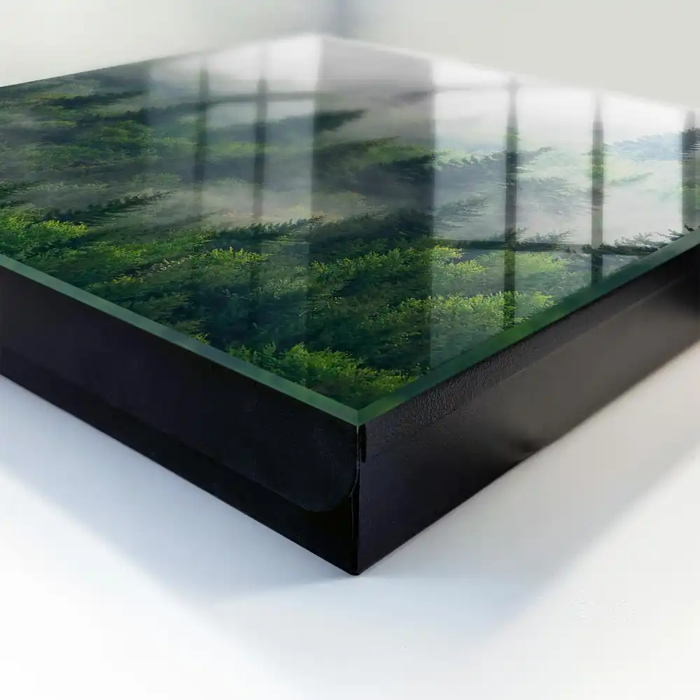Boîte à clés la verdure de la forêt dans le brouillard et l'atmosphère mystérieuse