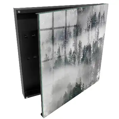 Armoire à clés des arbres dans le brouillard créant une atmosphère paisible