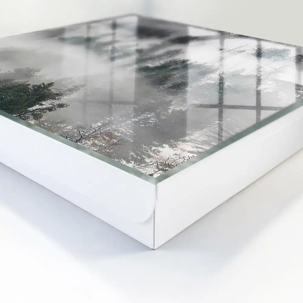 Armoire à clés des arbres dans le brouillard créant une atmosphère paisible