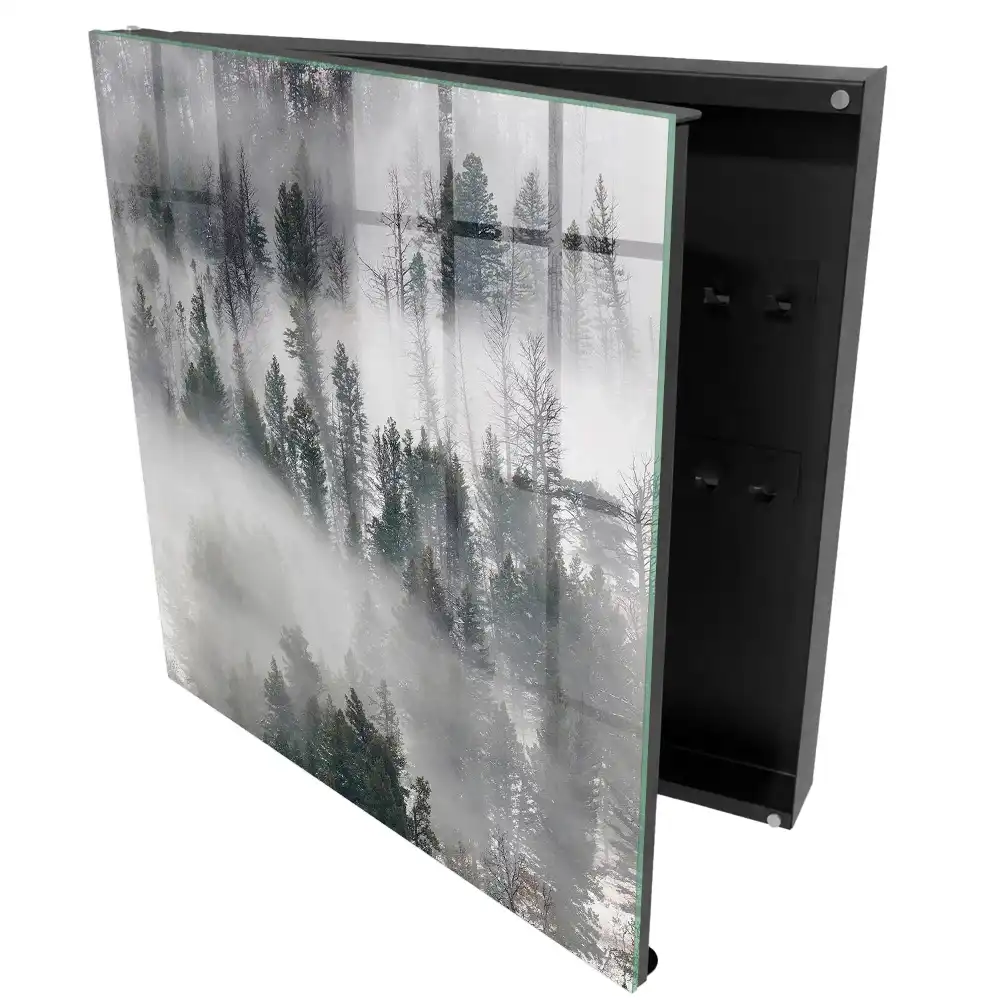 Armoire à clés des arbres dans le brouillard créant une atmosphère paisible