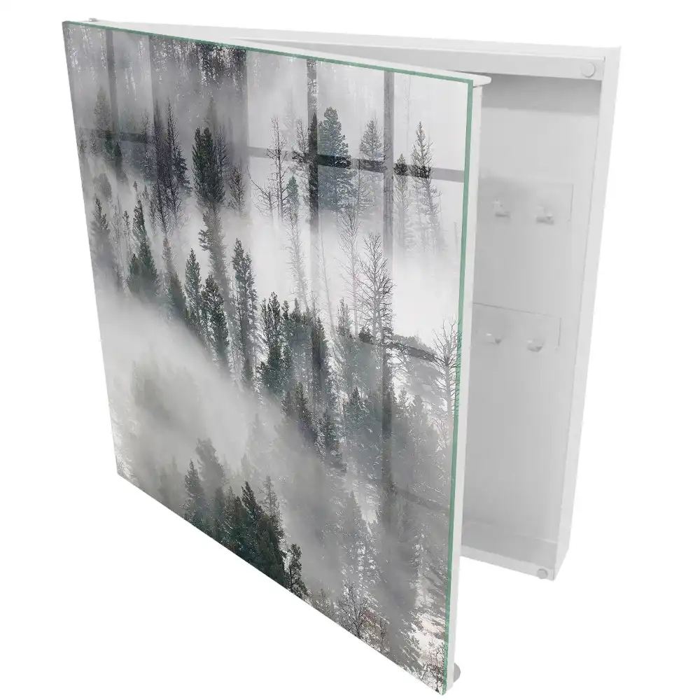 Armoire à clés des arbres dans le brouillard créant une atmosphère paisible
