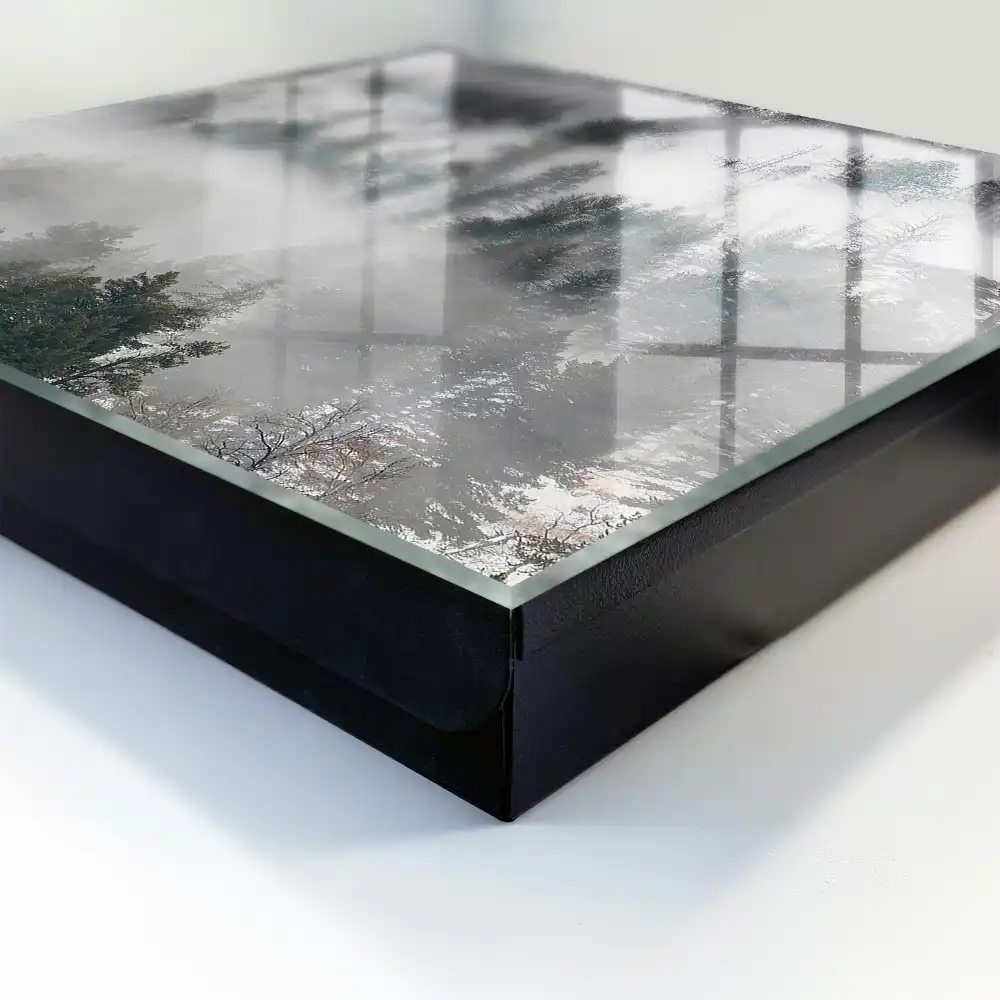 Armoire à clés des arbres dans le brouillard créant une atmosphère paisible