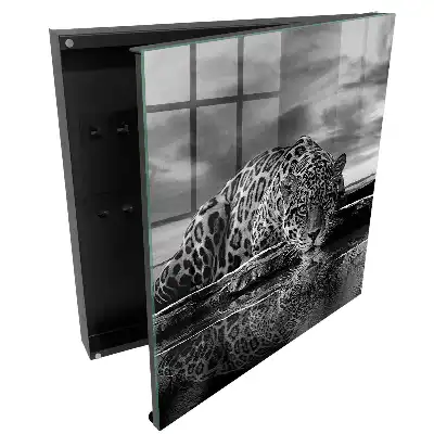 Boîte à clés jaguars au-dessus de l'eau contraste noir et blanc