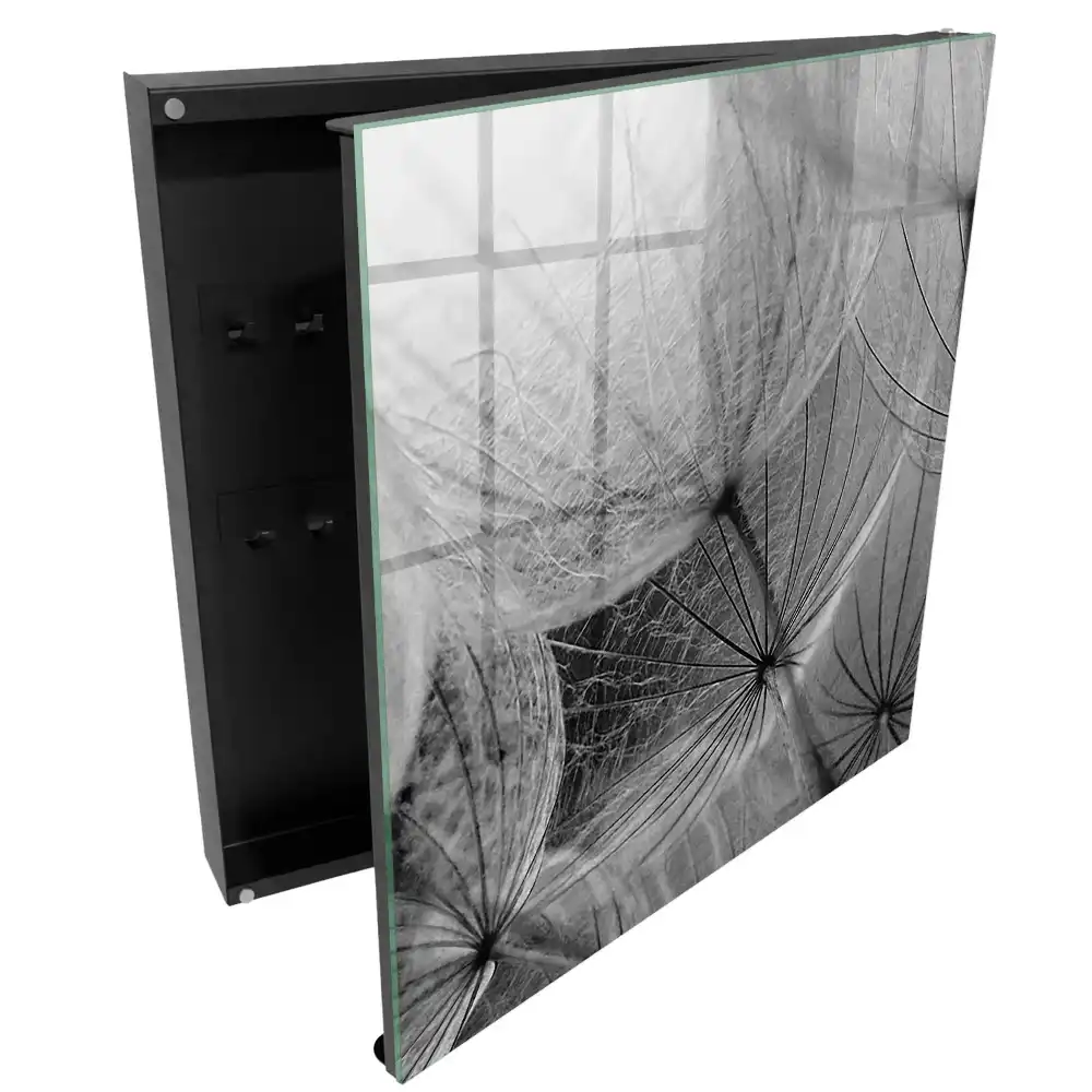 Armoire à clés détails subtils des graines de pissenlit
