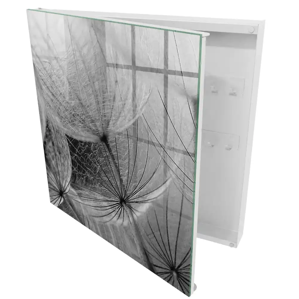 Armoire à clés détails subtils des graines de pissenlit