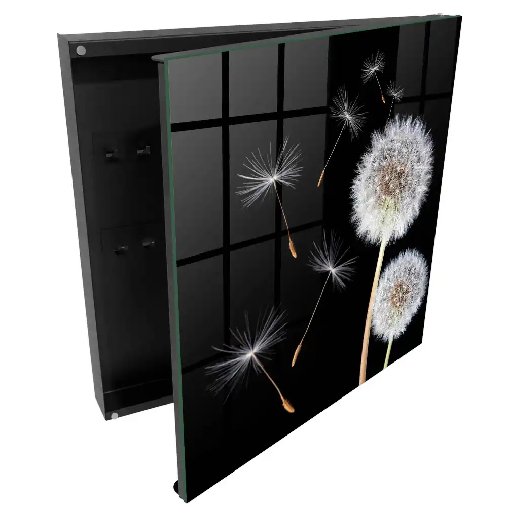 Armoire à clés pissenlits sur fond noir sans point