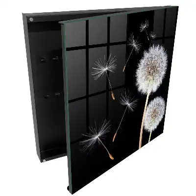 Armoire à clés pissenlits sur fond noir sans point
