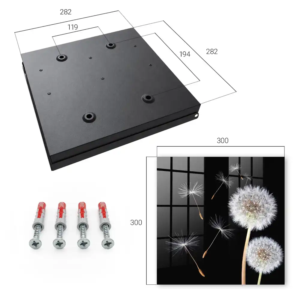 Armoire à clés pissenlits sur fond noir sans point