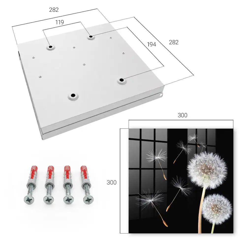 Armoire à clés pissenlits sur fond noir sans point