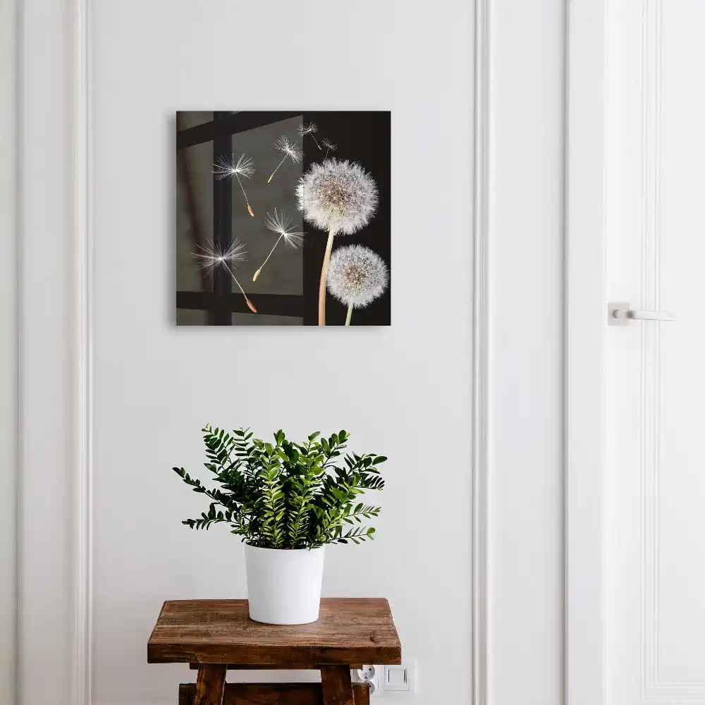 Armoire à clés pissenlits sur fond noir sans point