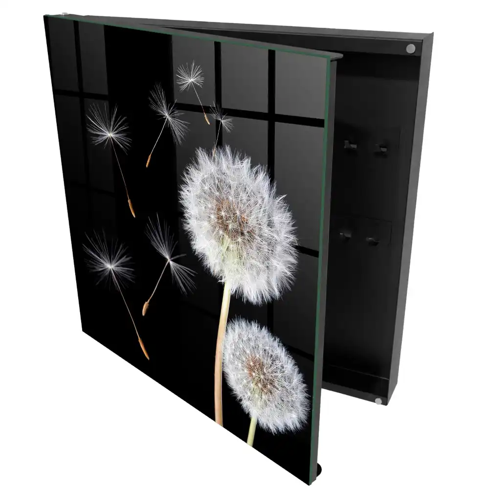 Armoire à clés pissenlits sur fond noir sans point