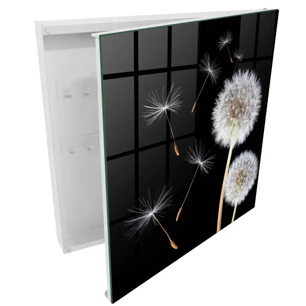 Armoire à clés pissenlits sur fond noir sans point