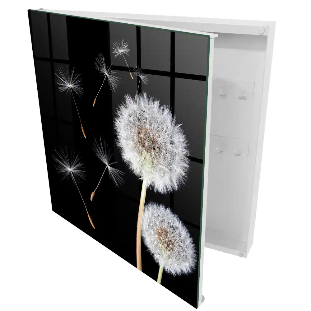 Armoire à clés pissenlits sur fond noir sans point