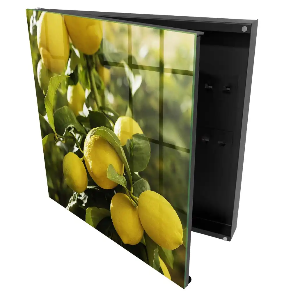 Boîte à clés murale citrons jaune soleil et feuilles vertes