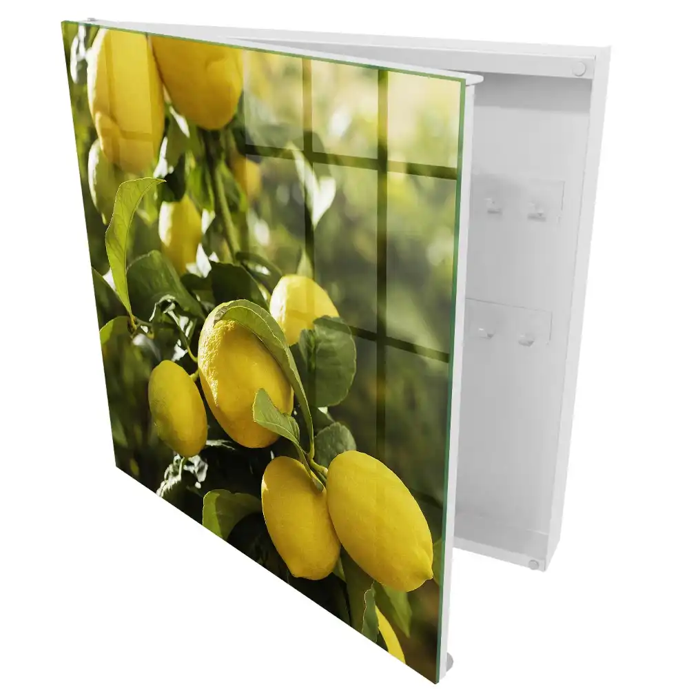 Boîte à clés murale citrons jaune soleil et feuilles vertes