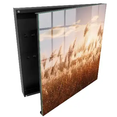 Armoire à clés lumière chaude et herbe se détachant sur le ciel