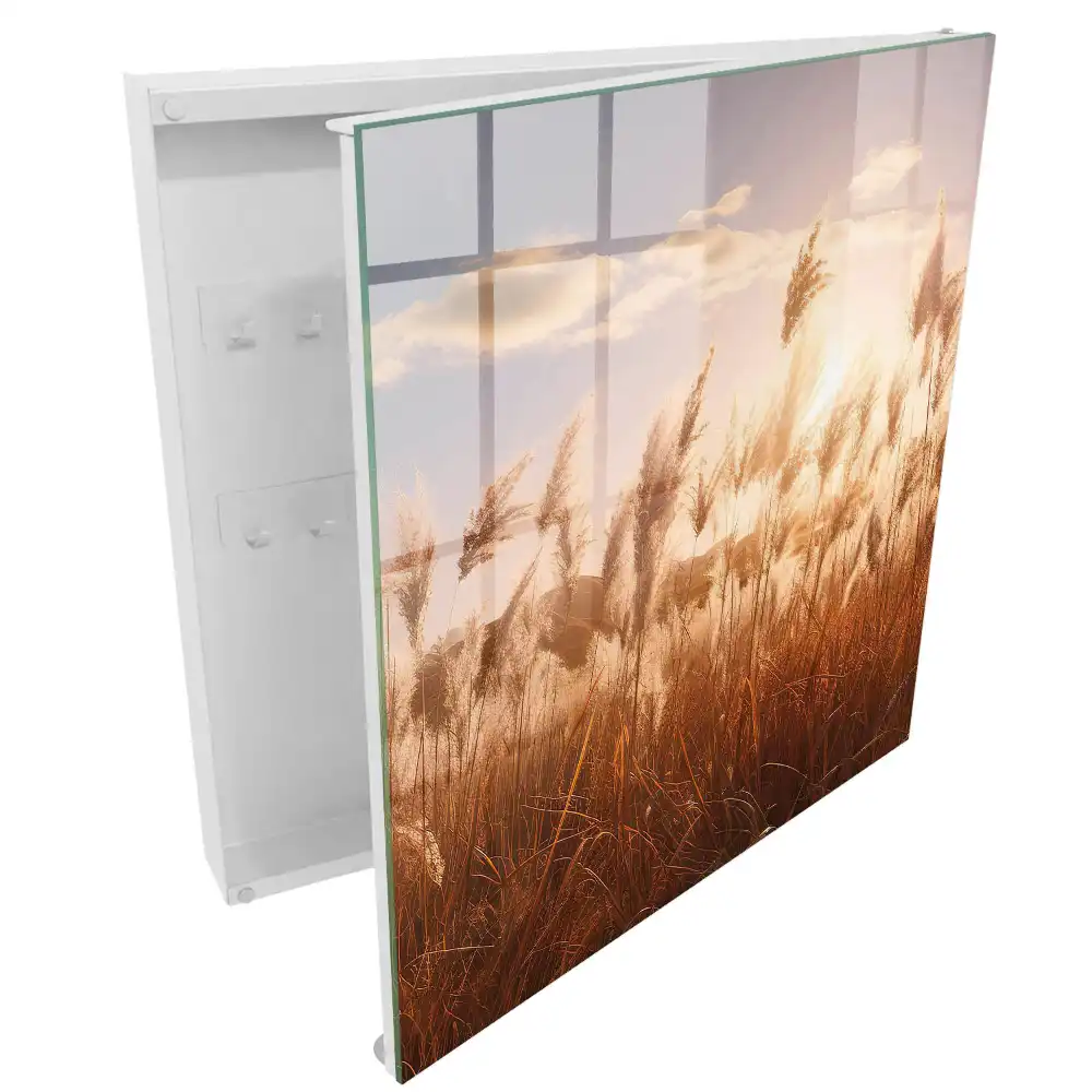 Armoire à clés lumière chaude et herbe se détachant sur le ciel