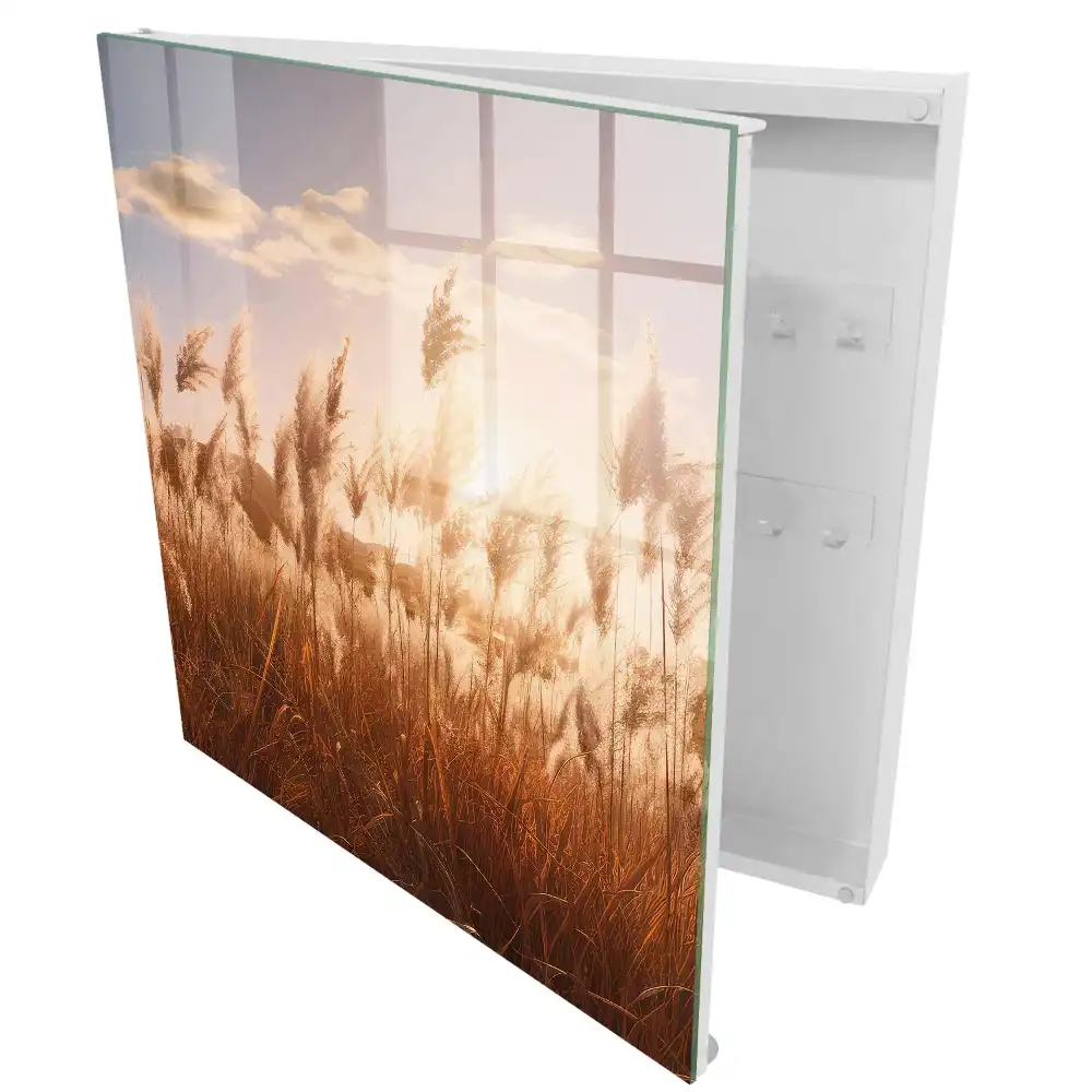 Armoire à clés lumière chaude et herbe se détachant sur le ciel