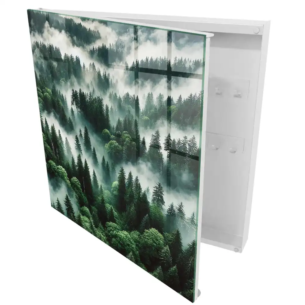 Boîte à clés forêt verdoyante dans le brouillard le charme du silence