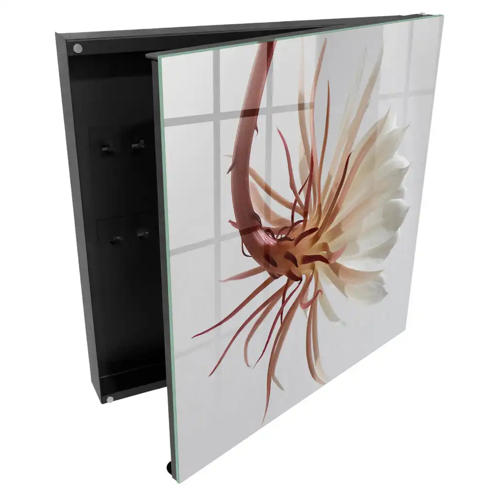 Armoire à clés une fleur délicate aux nuances subtiles
