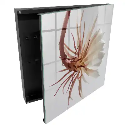 Armoire à clés une fleur délicate aux nuances subtiles
