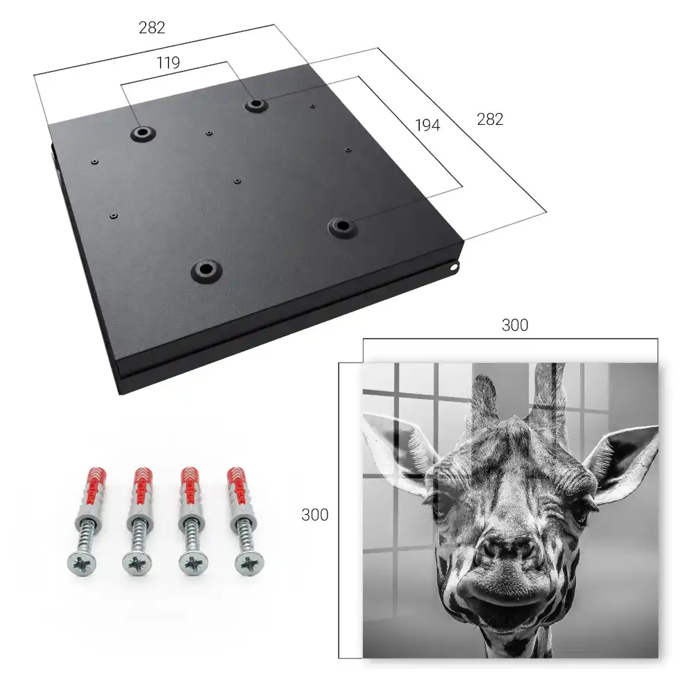 Armoire à clés portrait d'une girafe en noir et blanc