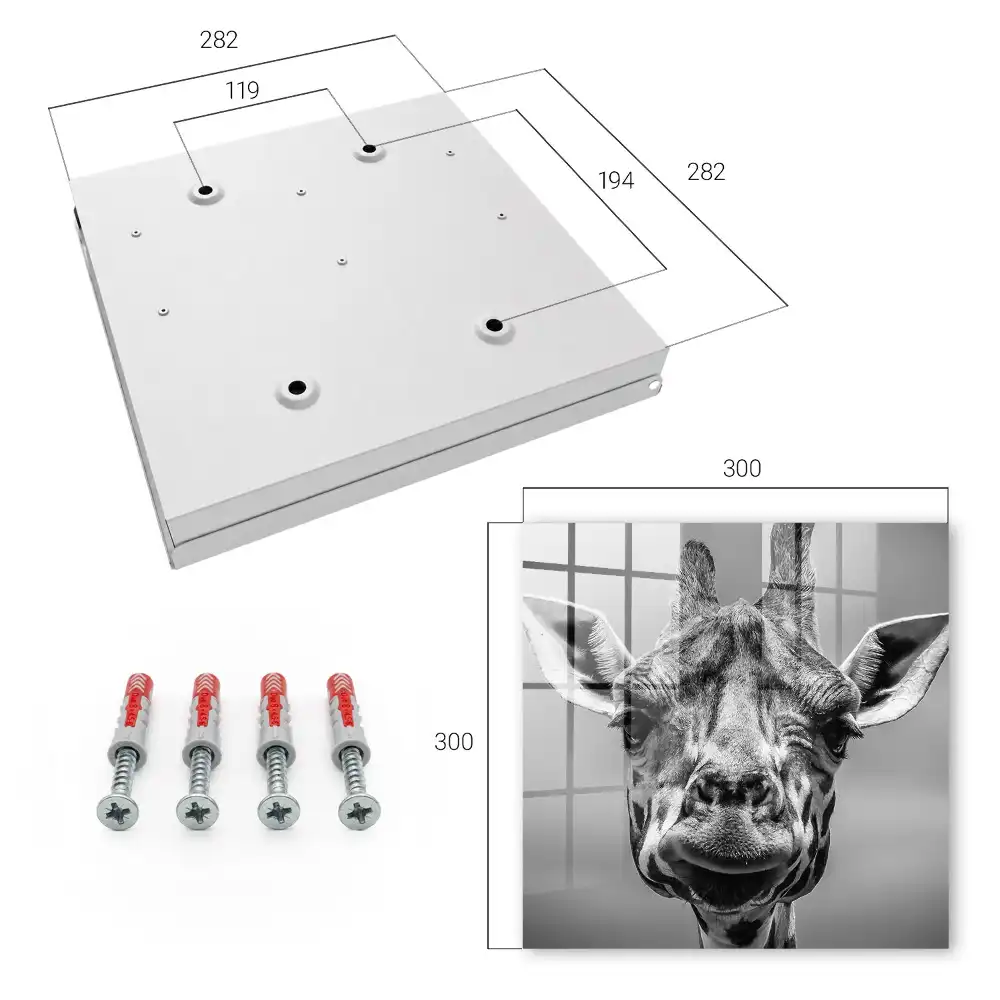Armoire à clés portrait d'une girafe en noir et blanc