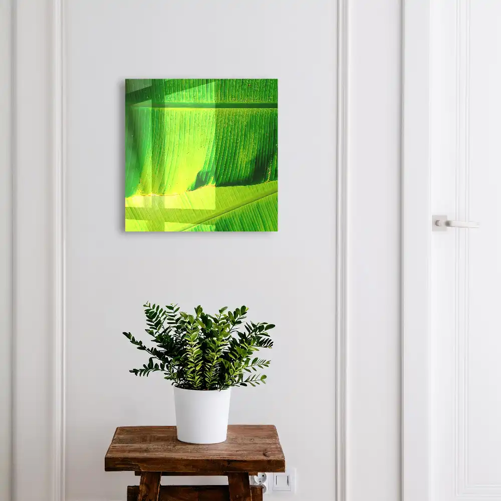 Boîte à clés feuilles vertes juteuses aux lignes délicates
