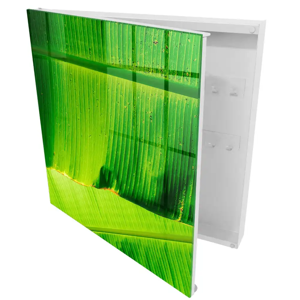 Boîte à clés feuilles vertes juteuses aux lignes délicates