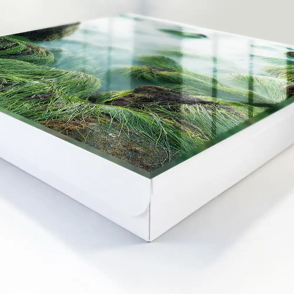 Armoire à clés des rochers verdoyants et une mer calme sans brouillard