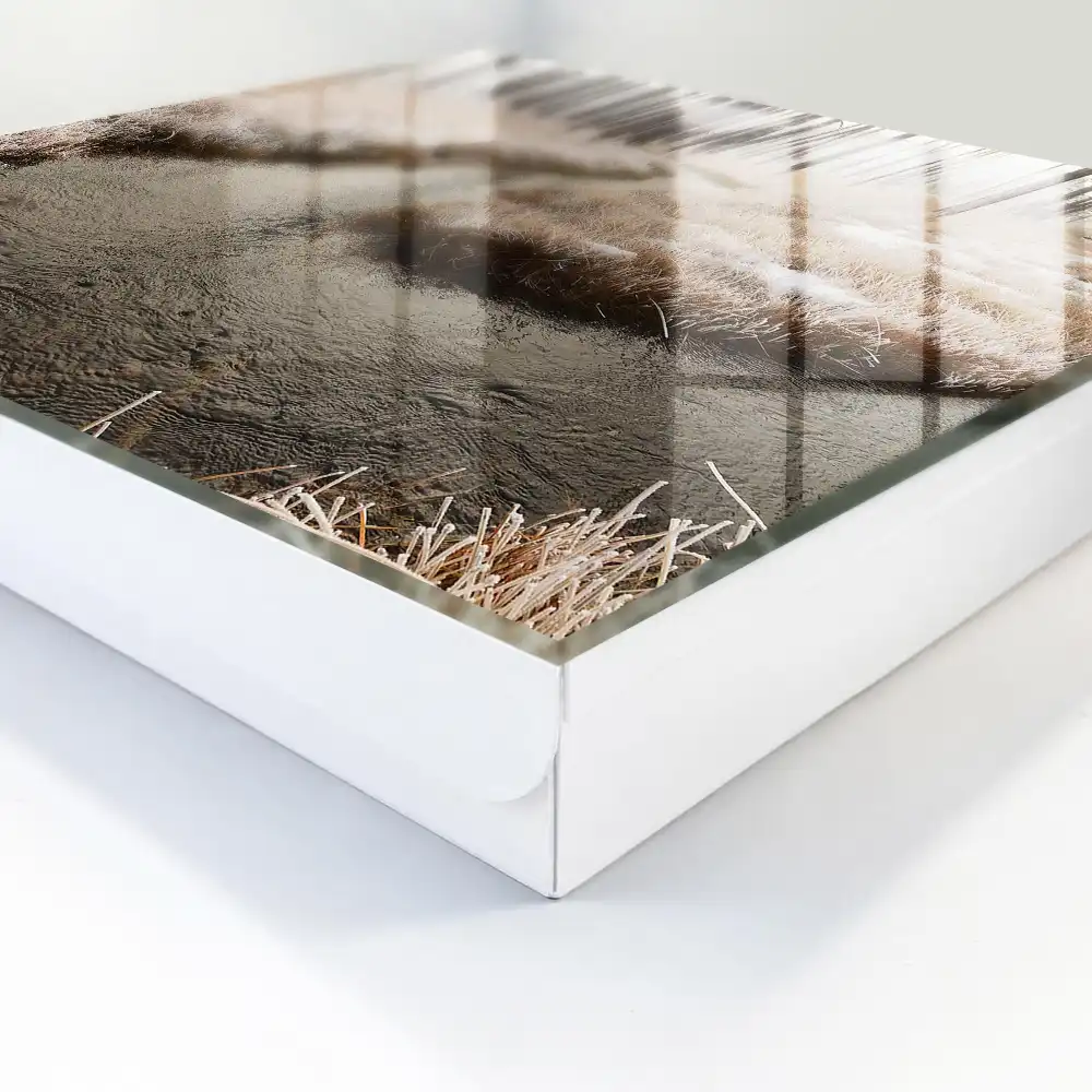 Boîte à clés forêt hivernale avec une rivière dans le brouillard