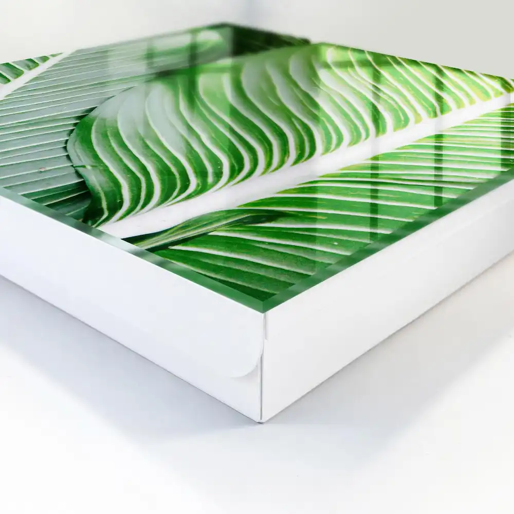Boîte à clés feuilles vertes aux lignes distinctes